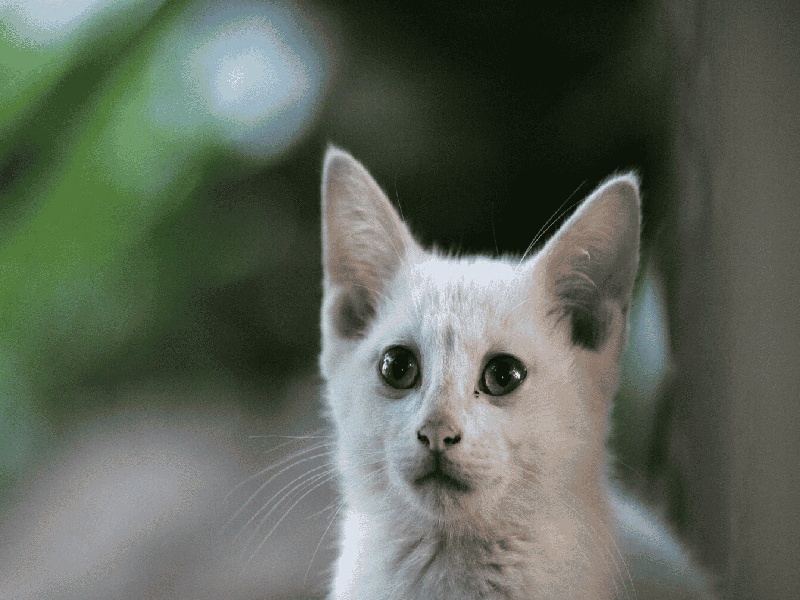 重庆试管做几代好,2024年重庆试管要做NK检查（试管哪家有保证）