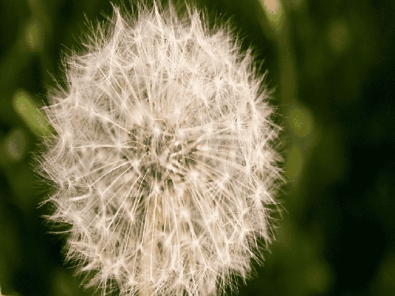 试管没有怀孕吗（中医对于试管的态度）